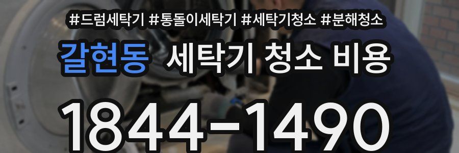 갈현동 세탁기 청소 비용