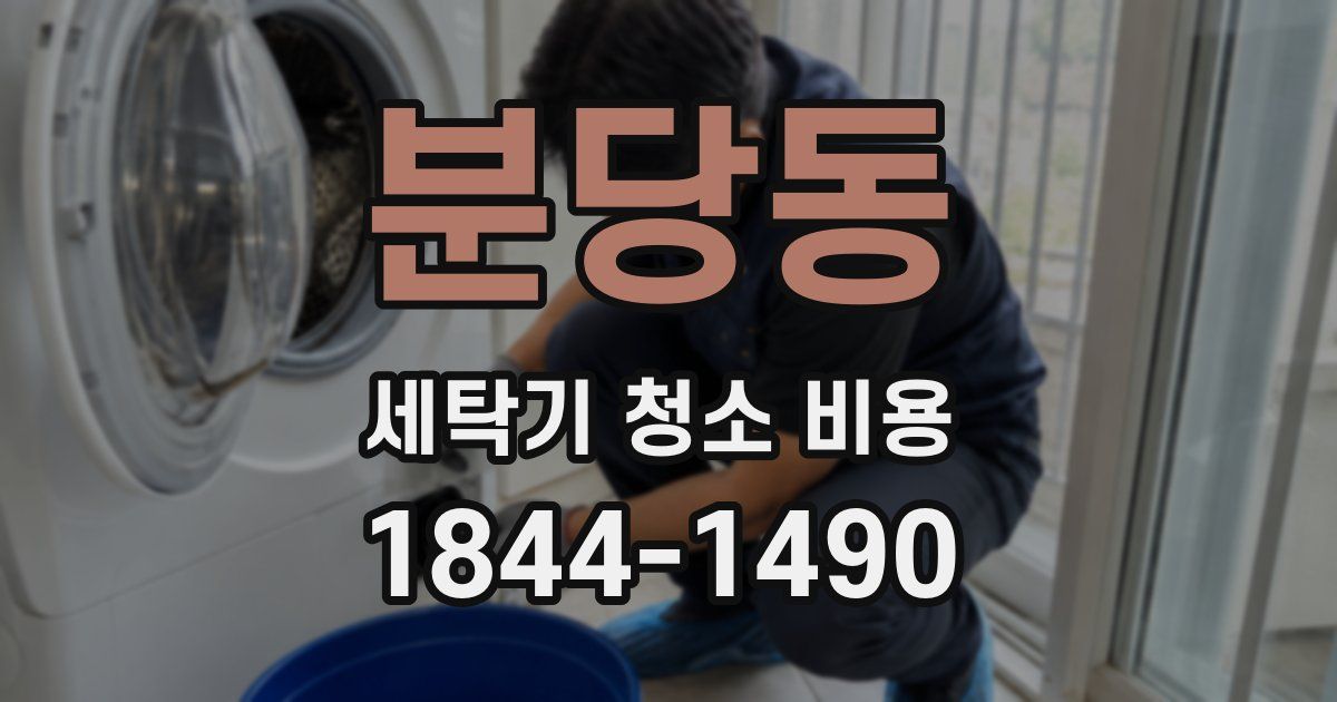 분당동 세탁기 청소 비용