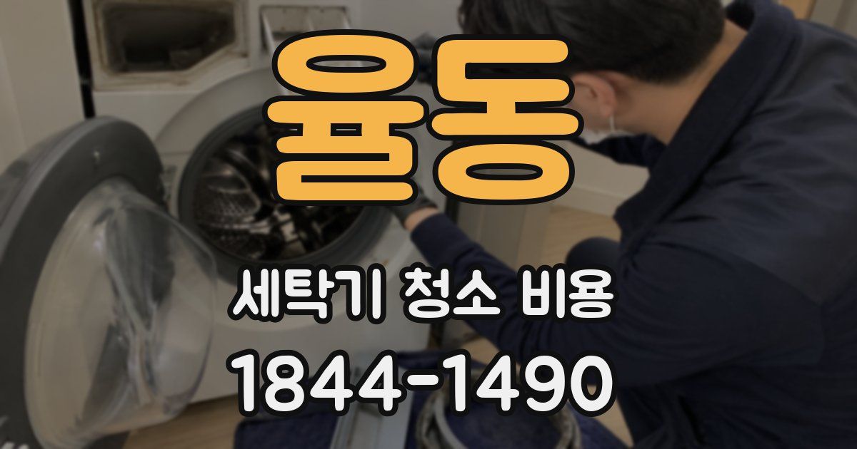 율동 세탁기 청소 비용