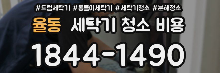 율동 세탁기 청소 비용