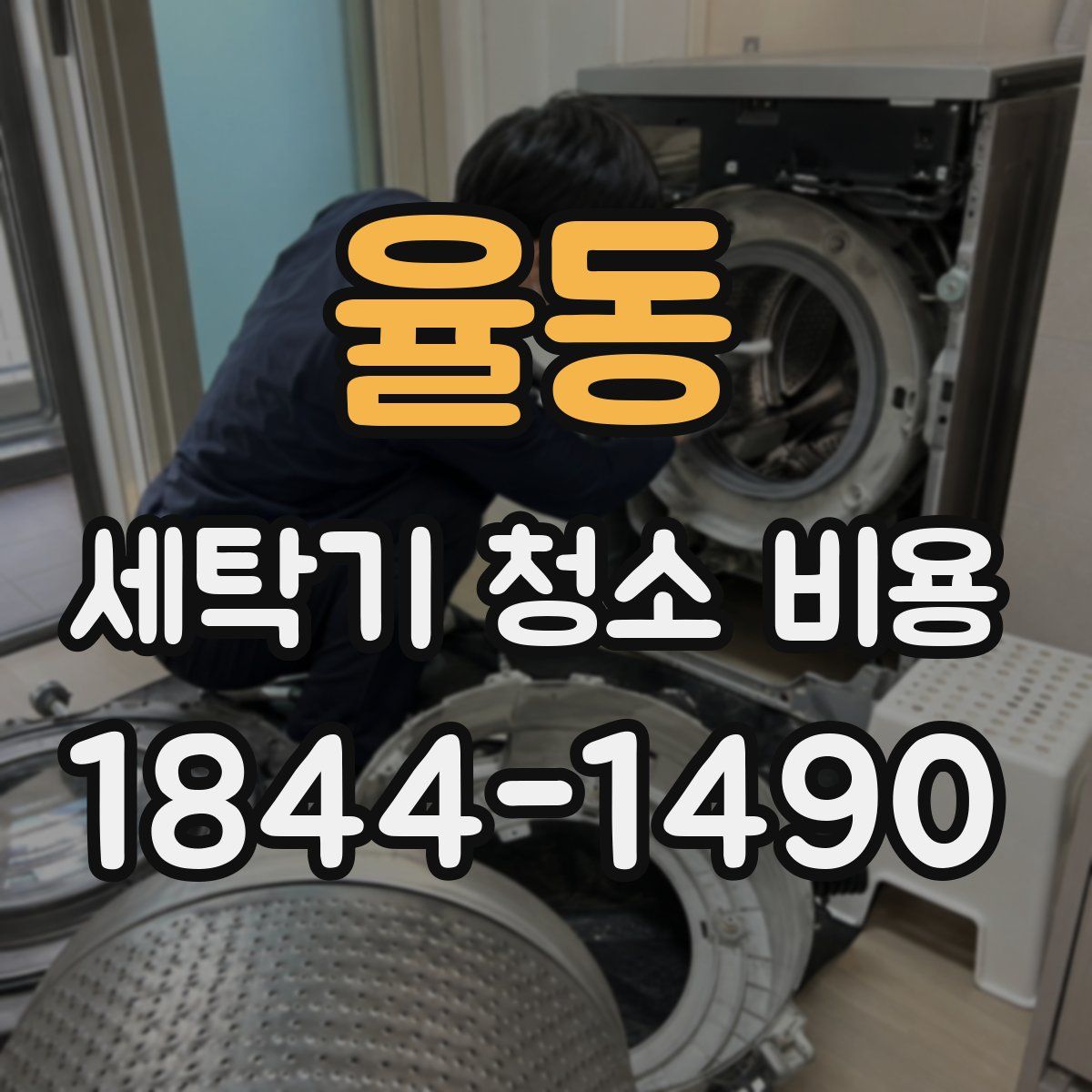 율동 세탁기 청소 비용