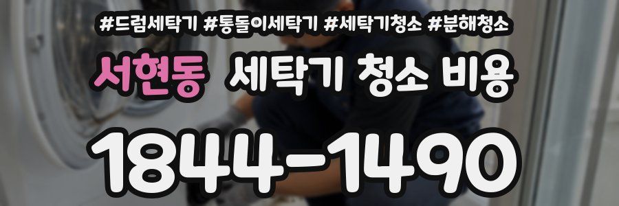 서현동 세탁기 청소 비용