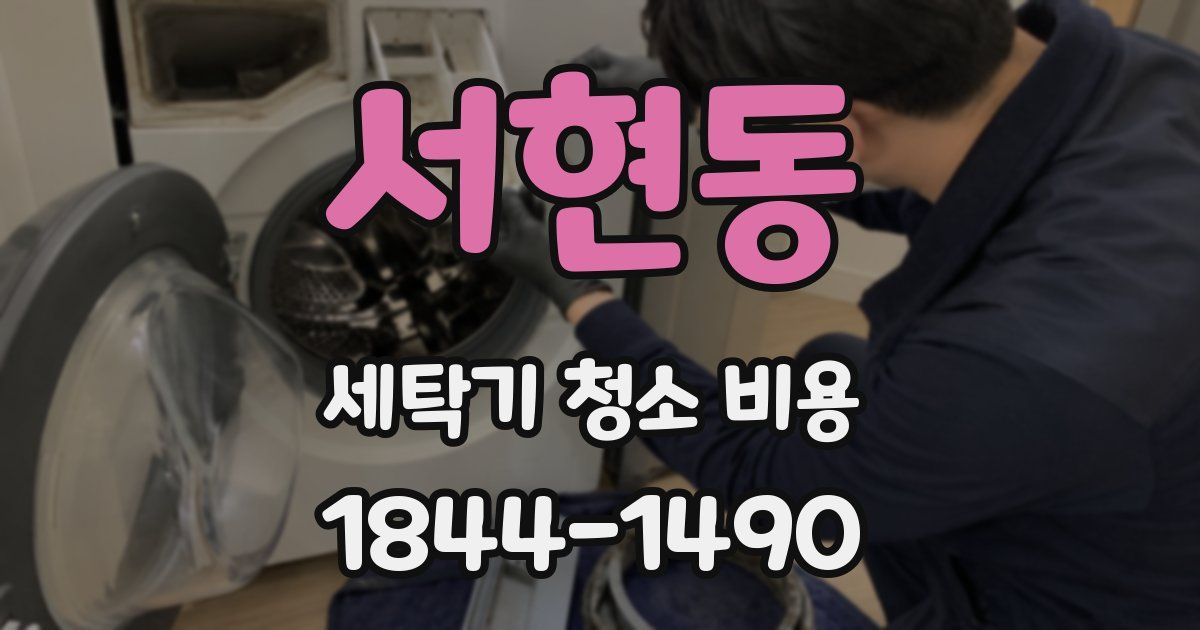 서현동 세탁기 청소 비용