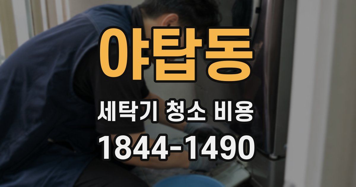 야탑동 세탁기 청소 비용