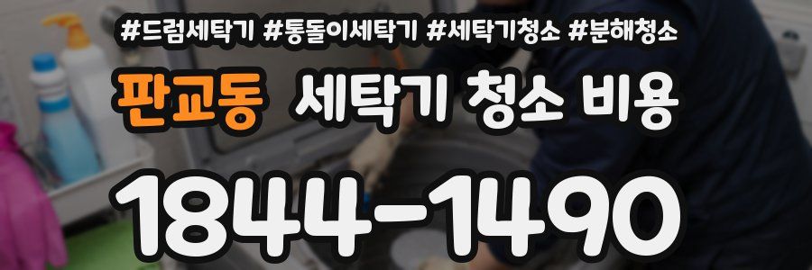 판교동 세탁기 청소 비용