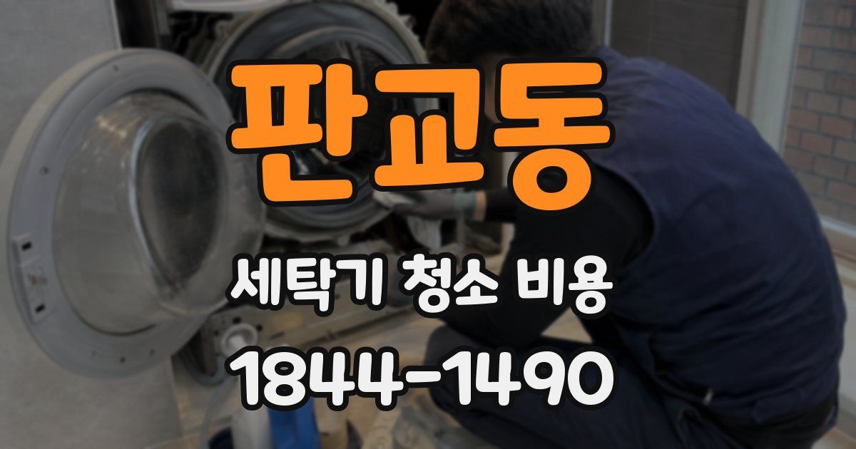 판교동 세탁기 청소 비용