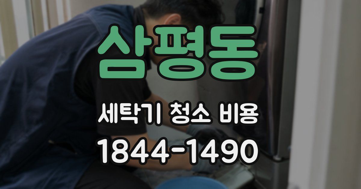 삼평동 세탁기 청소 비용