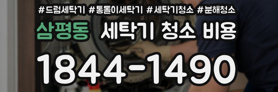 삼평동 세탁기 청소 비용