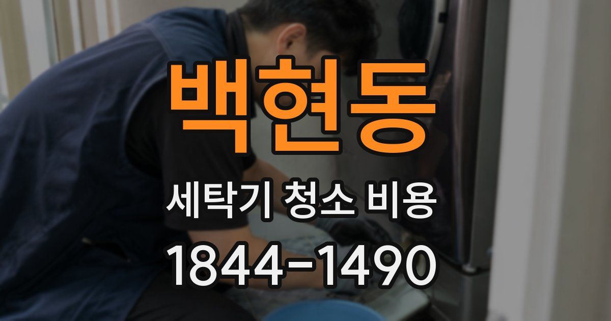 백현동 세탁기 청소 비용