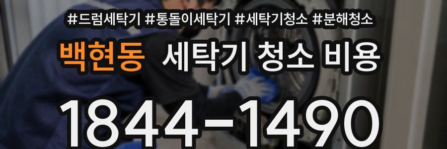 백현동 세탁기 청소 비용