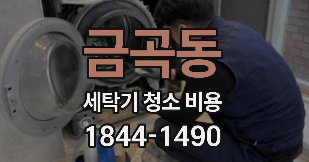 금곡동 세탁기 청소 비용
