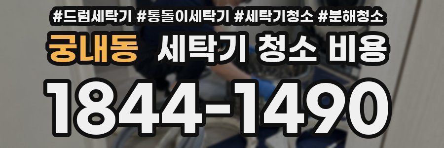 궁내동 세탁기 청소 비용
