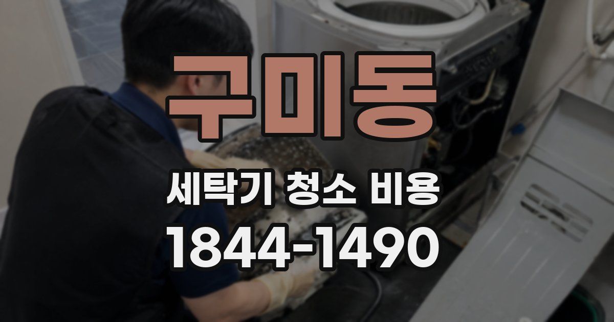 구미동 세탁기 청소 비용