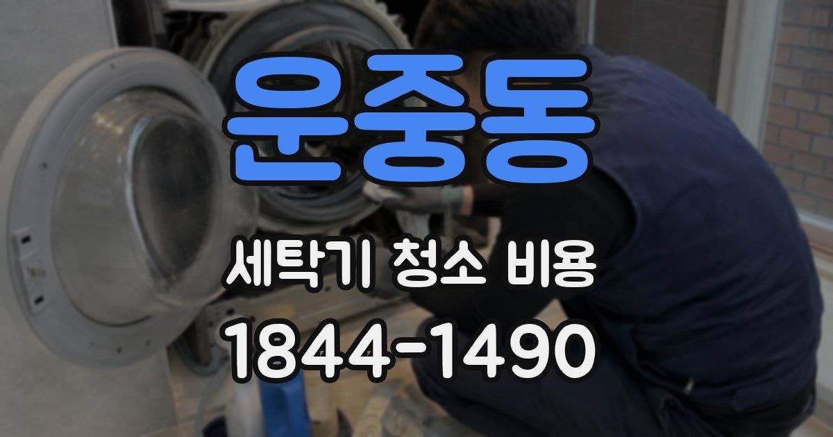 운중동 세탁기 청소 비용