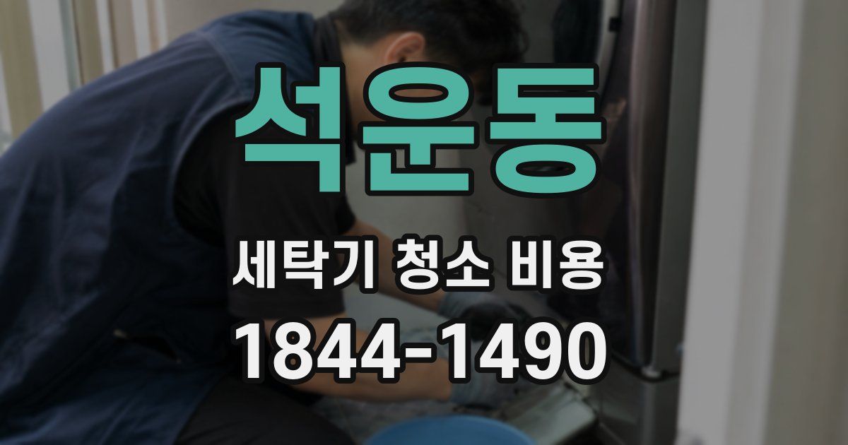 석운동 세탁기 청소 비용