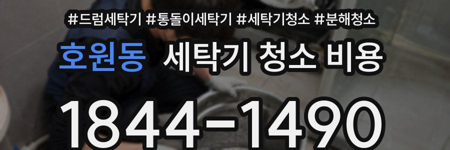 호원동 세탁기 청소 비용