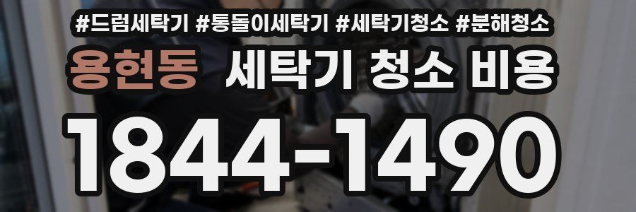 용현동 세탁기 청소 비용