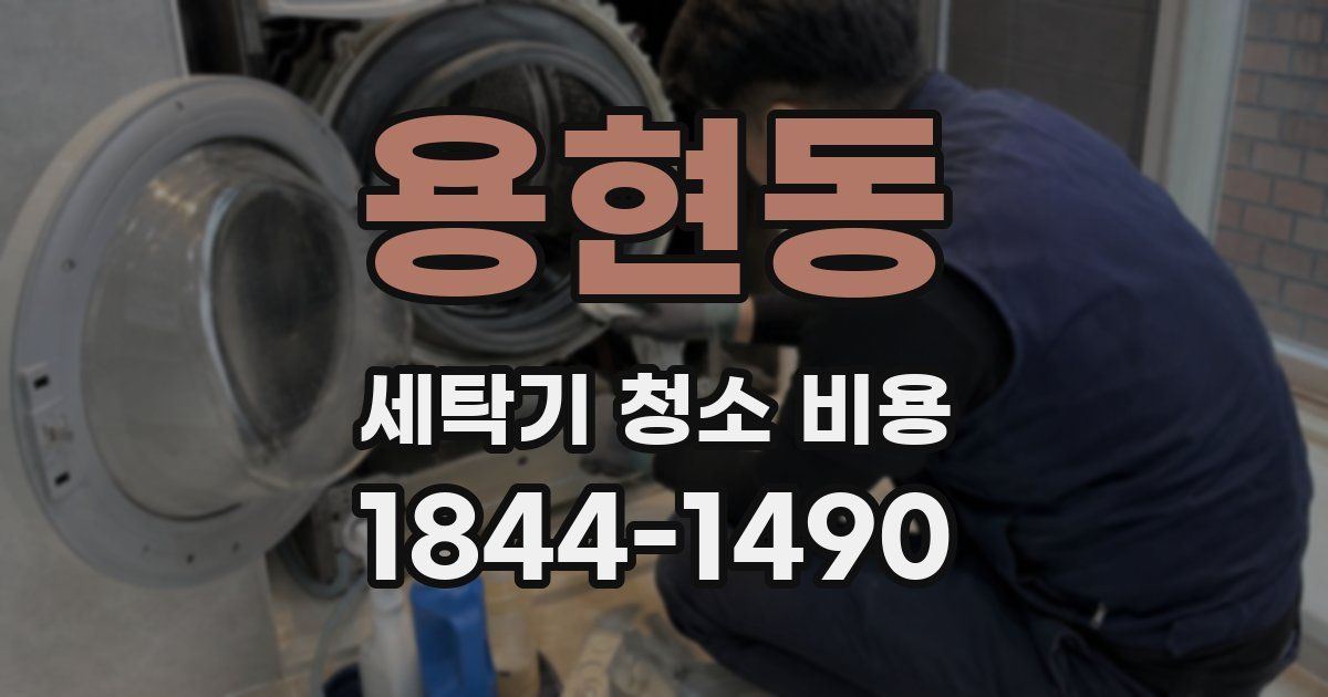 용현동 세탁기 청소 비용