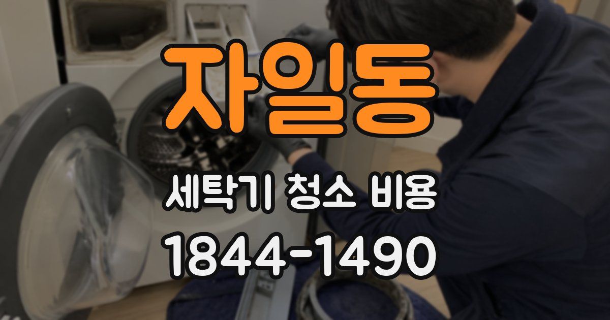 자일동 세탁기 청소 비용