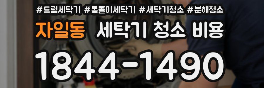 자일동 세탁기 청소 비용