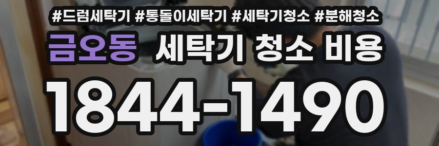 금오동 세탁기 청소 비용
