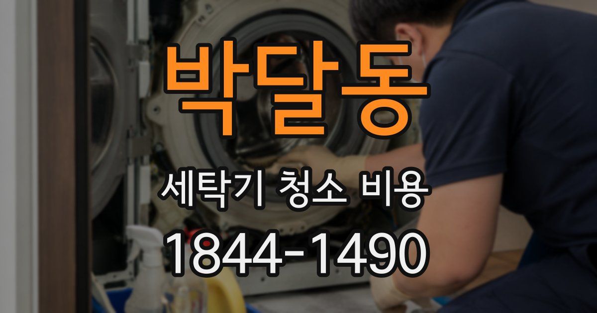 박달동 세탁기 청소 비용