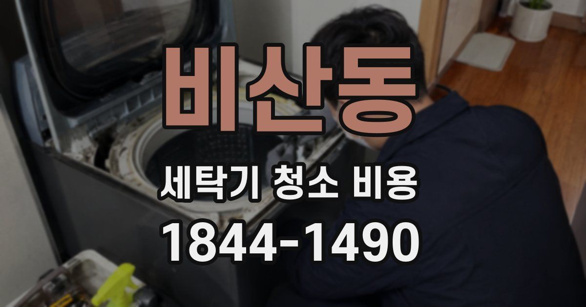 비산동 세탁기 청소 비용