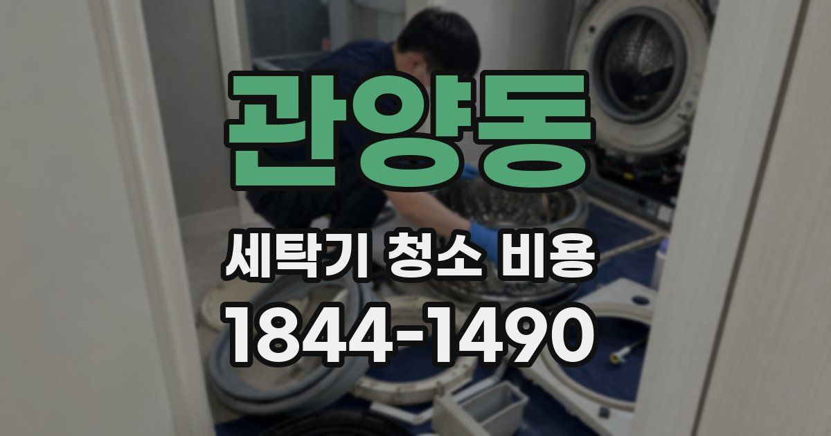 관양동 세탁기 청소 비용