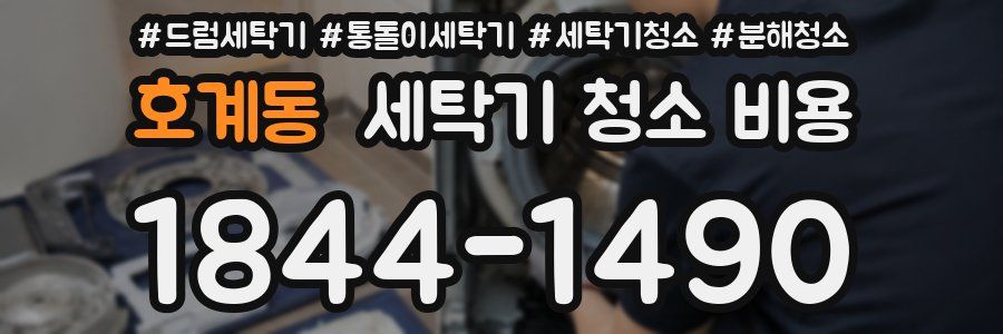 호계동 세탁기 청소 비용
