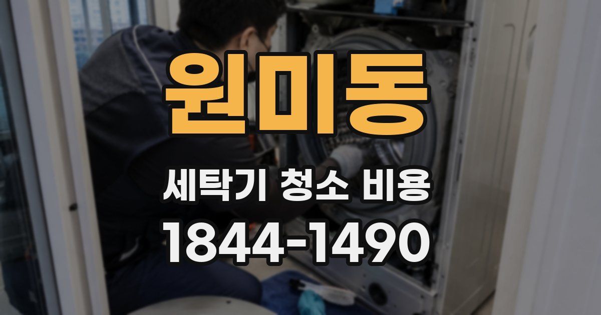 원미동 세탁기 청소 비용