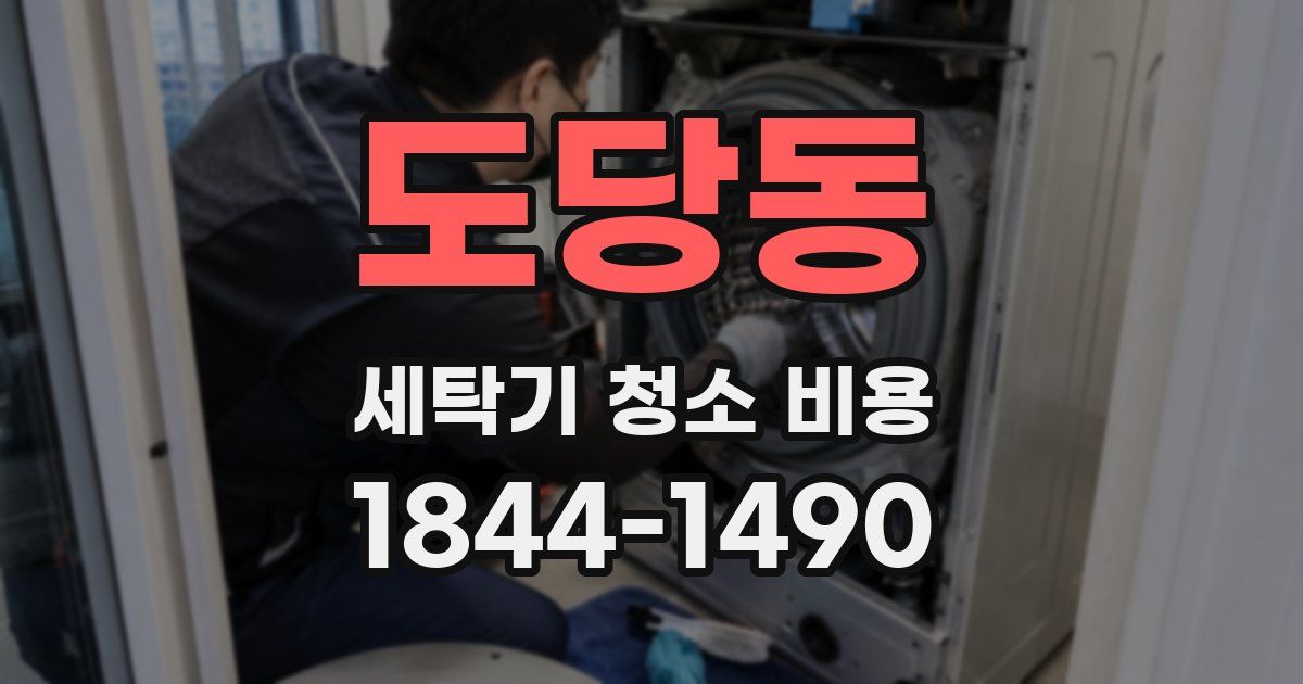 도당동 세탁기 청소 비용