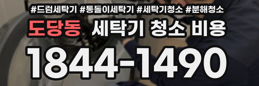 도당동 세탁기 청소 비용