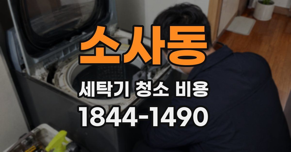 소사동 세탁기 청소 비용