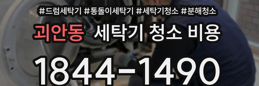 괴안동 세탁기 청소 비용