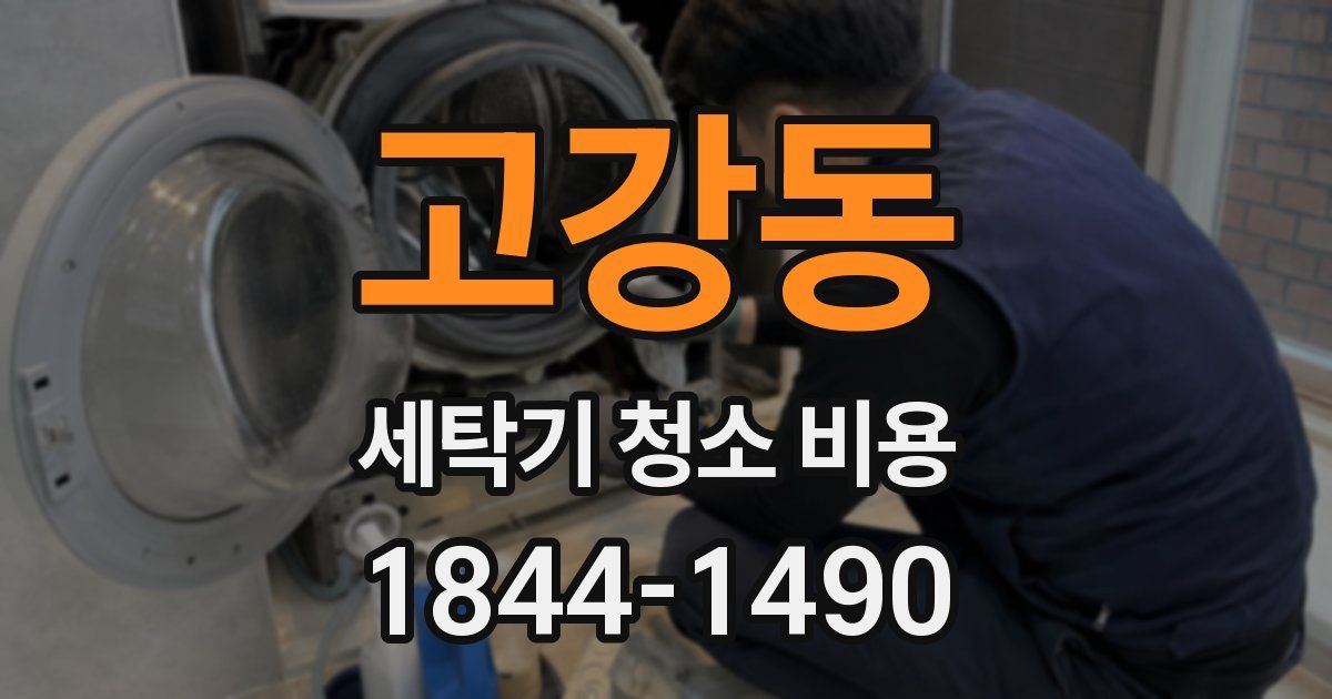 고강동 세탁기 청소 비용