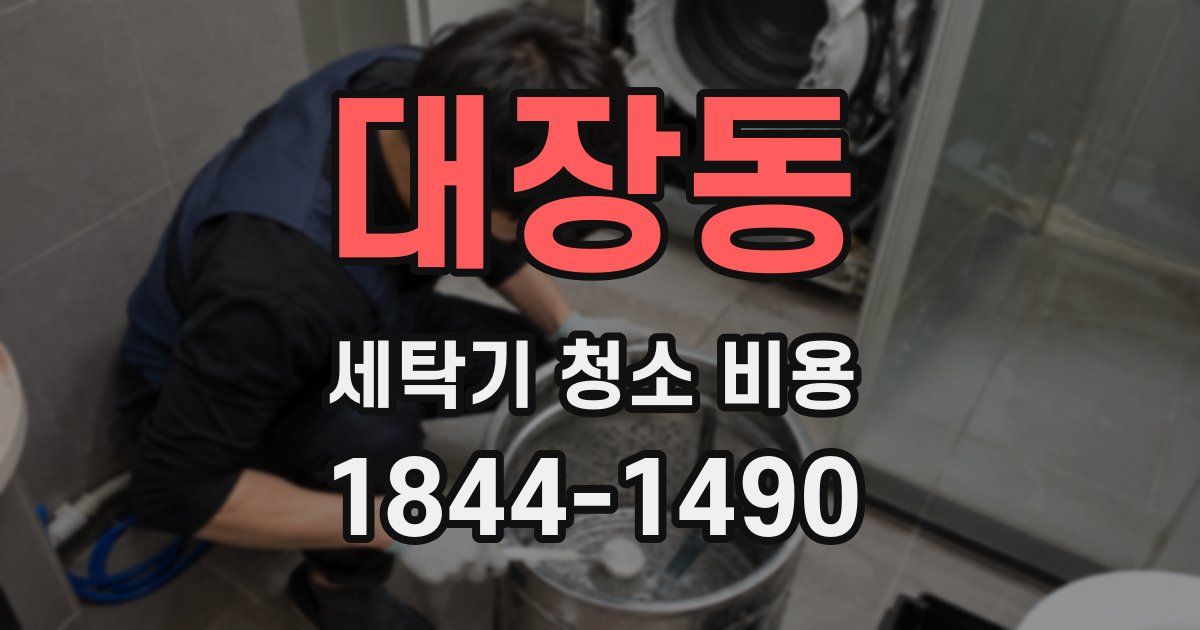 대장동 세탁기 청소 비용
