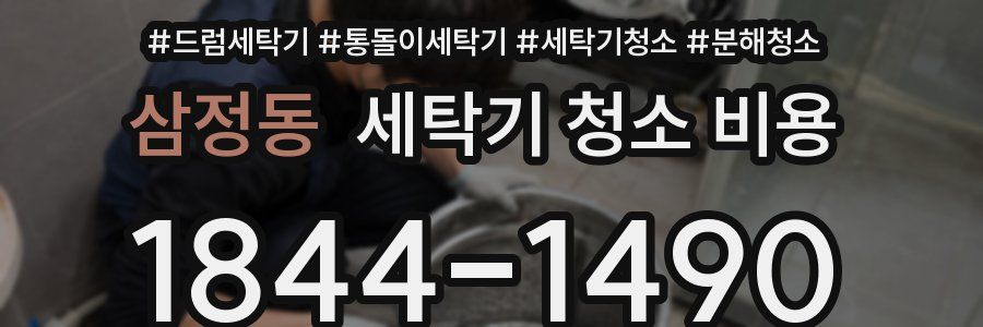 삼정동 세탁기 청소 비용