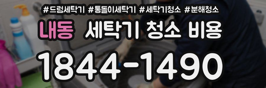 내동 세탁기 청소 비용