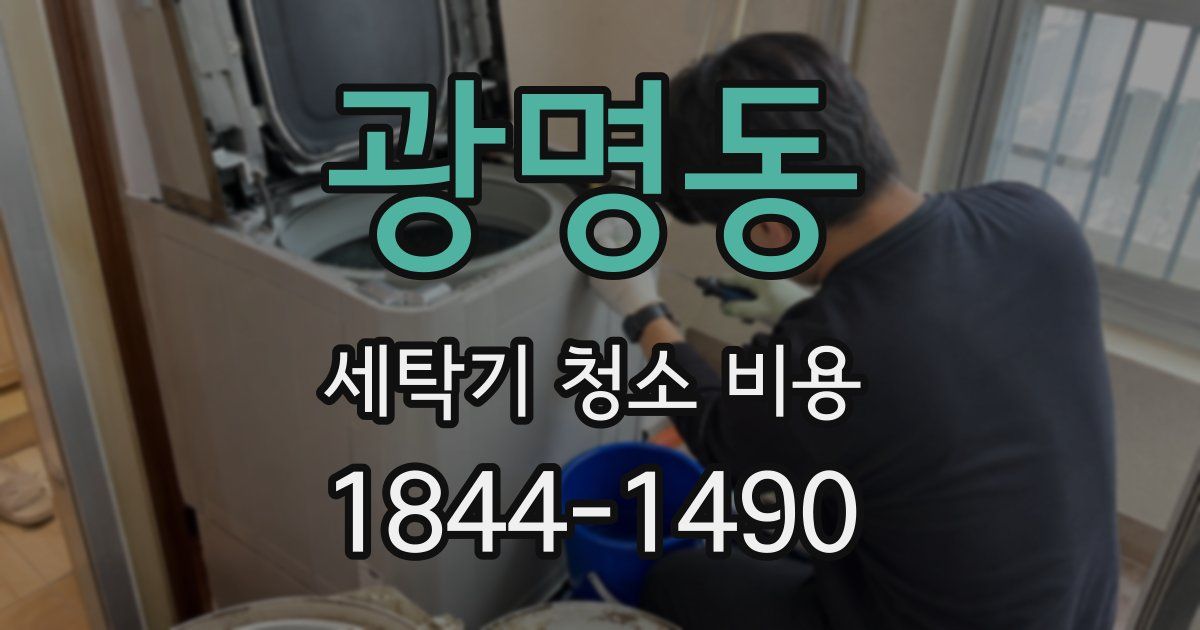 광명동 세탁기 청소 비용