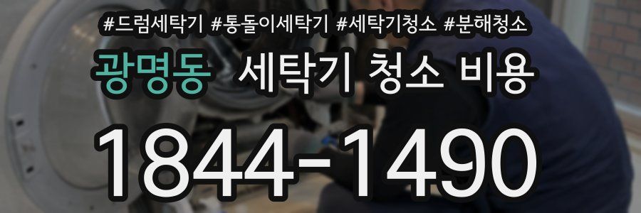 광명동 세탁기 청소 비용