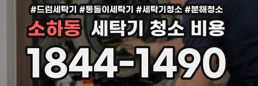 소하동 세탁기 청소 비용