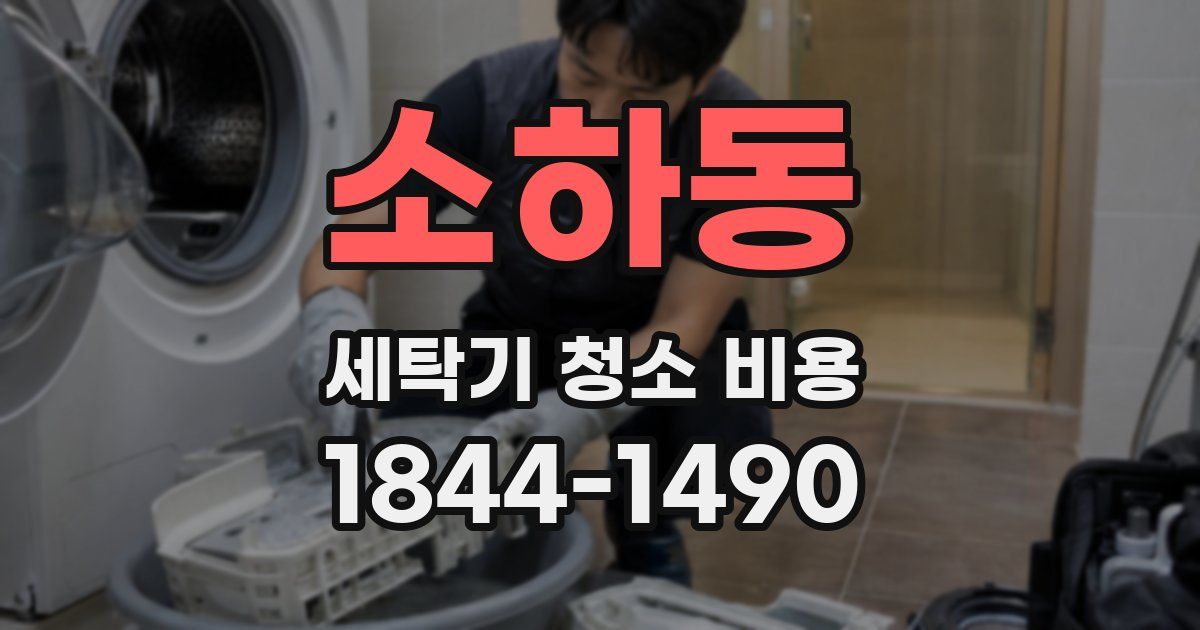 소하동 세탁기 청소 비용