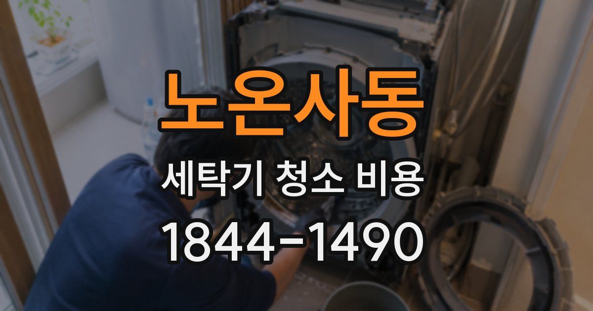 노온사동 세탁기 청소 비용
