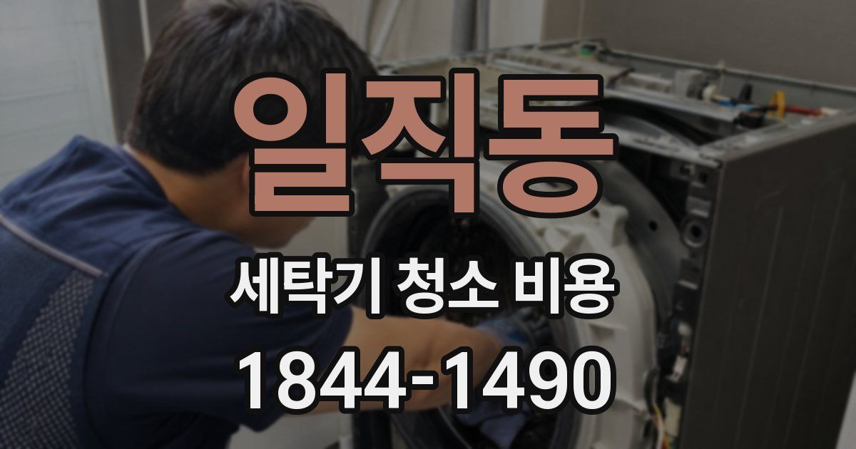 일직동 세탁기 청소 비용