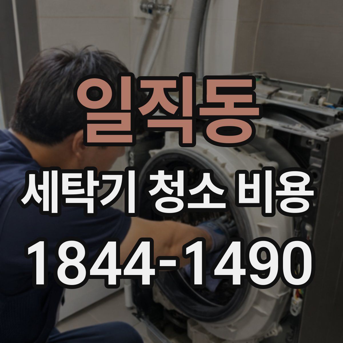 일직동 세탁기 청소 비용