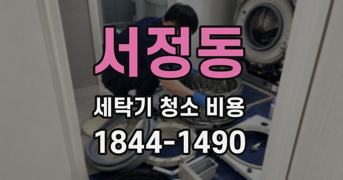 서정동 세탁기 청소 비용