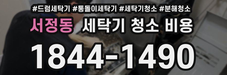 서정동 세탁기 청소 비용
