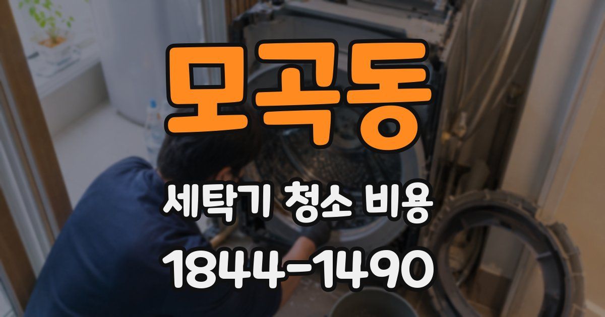 모곡동 세탁기 청소 비용