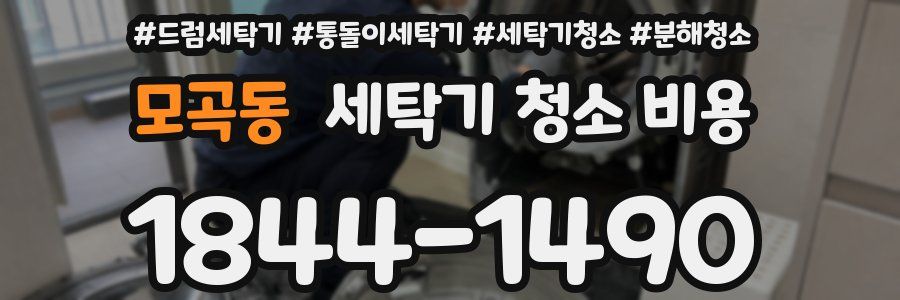 모곡동 세탁기 청소 비용