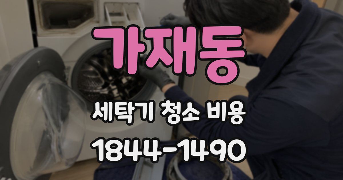 가재동 세탁기 청소 비용